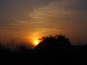 渡良瀬橋から見た夕日の写真です。