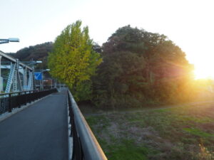 渡良瀬橋のイチョウと夕日の写真です。