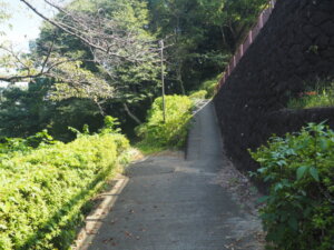 織姫公園：山道の出入り口の写真です。