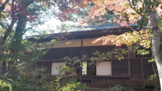 物外軒：秋の庭園から見た茶室の写真です。