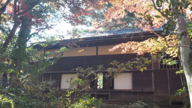 物外軒：秋の庭園から見た茶室の写真です。