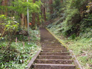 浄因寺に向かう階段の写真