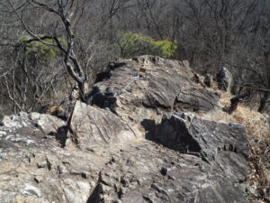 両崖山にに向かう道：天狗岩の写真です。
