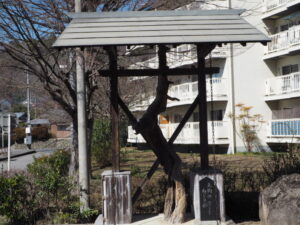 足利三十三観音霊場巡り：山川 長林寺の参道にある「天狗のねじり杉」の写真です。