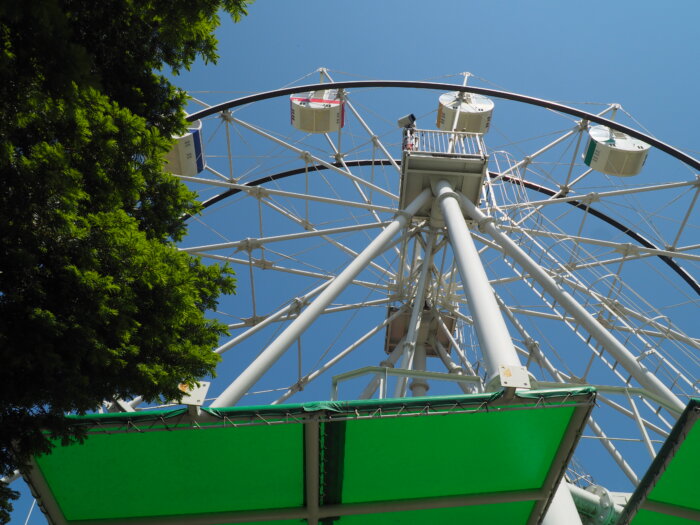 桐生が岡遊園地の観覧車の写真です。