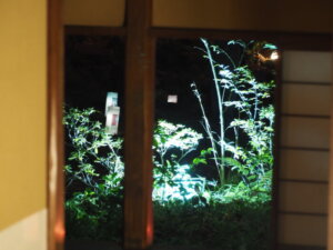 茶室から見た庭園の灯りの写真です。
