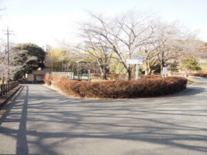 足利公園のY字路の写真です4。