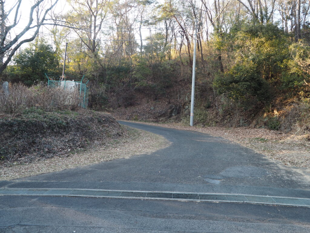 大山祇神社へ向かう道の写真です。