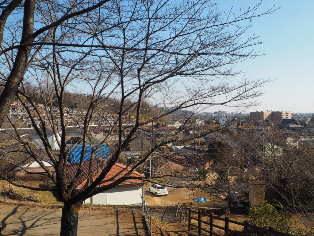 三崎稲荷神社から臨む風景写真です。