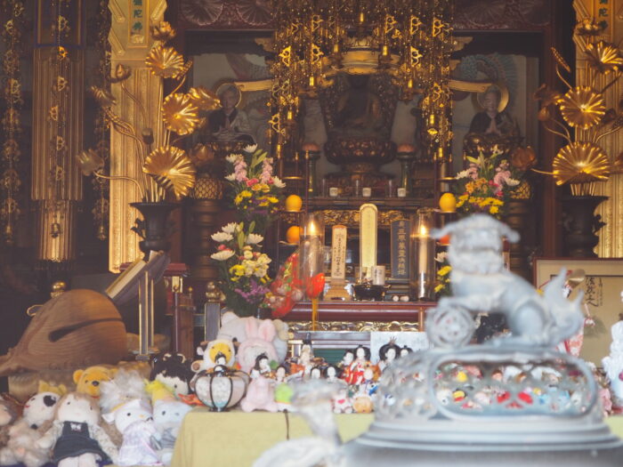 徳正寺:阿弥陀如来の写真です。
