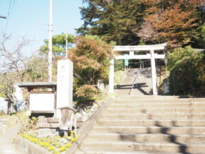 西宮神社の鳥居の写真です。