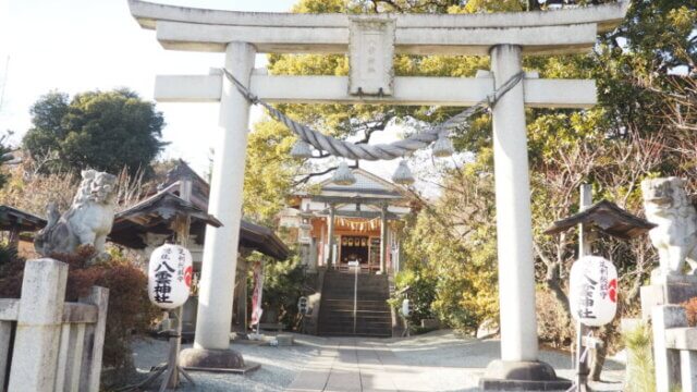 足利總鎮守 總者 八雲神社の写真です。