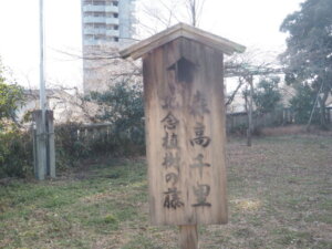 八雲神社　森高千里さんの植樹記念の立札の写真です。