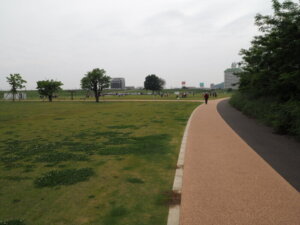 渡良瀬緑地の散歩コースの写真です。