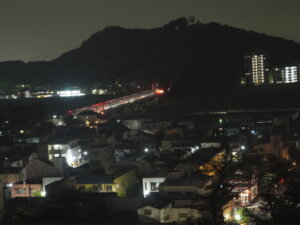 織姫神社から臨む渡良瀬橋の夜景の写真です。