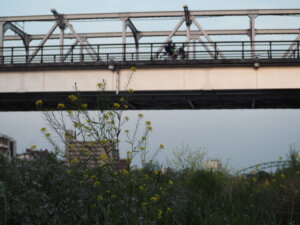渡良瀬橋と自転車に乗る人の写真です。