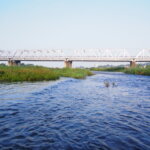 登る朝日に照らされた渡良瀬橋の写真です。