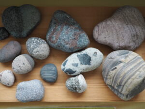 せせら展示コーナー：渡良瀬川の石の写真です。