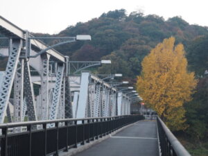渡良瀬橋唐見た女浅間山とイチョウの写真です。