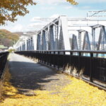 秋の渡良瀬橋の写真です。