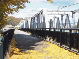 秋の渡良瀬橋の写真です。