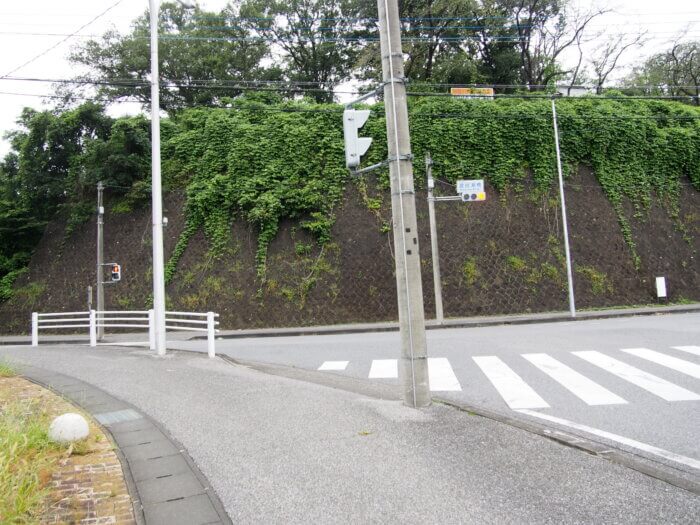 前方に見える女浅間山の写真です。