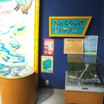 せせら：水とくらしのギャラリーの写真です。