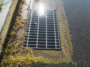 冠水した道路の写真です。