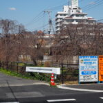 しだれ桜散歩道の写真です。