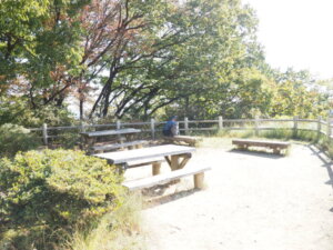 西公園のベンチの写真です。