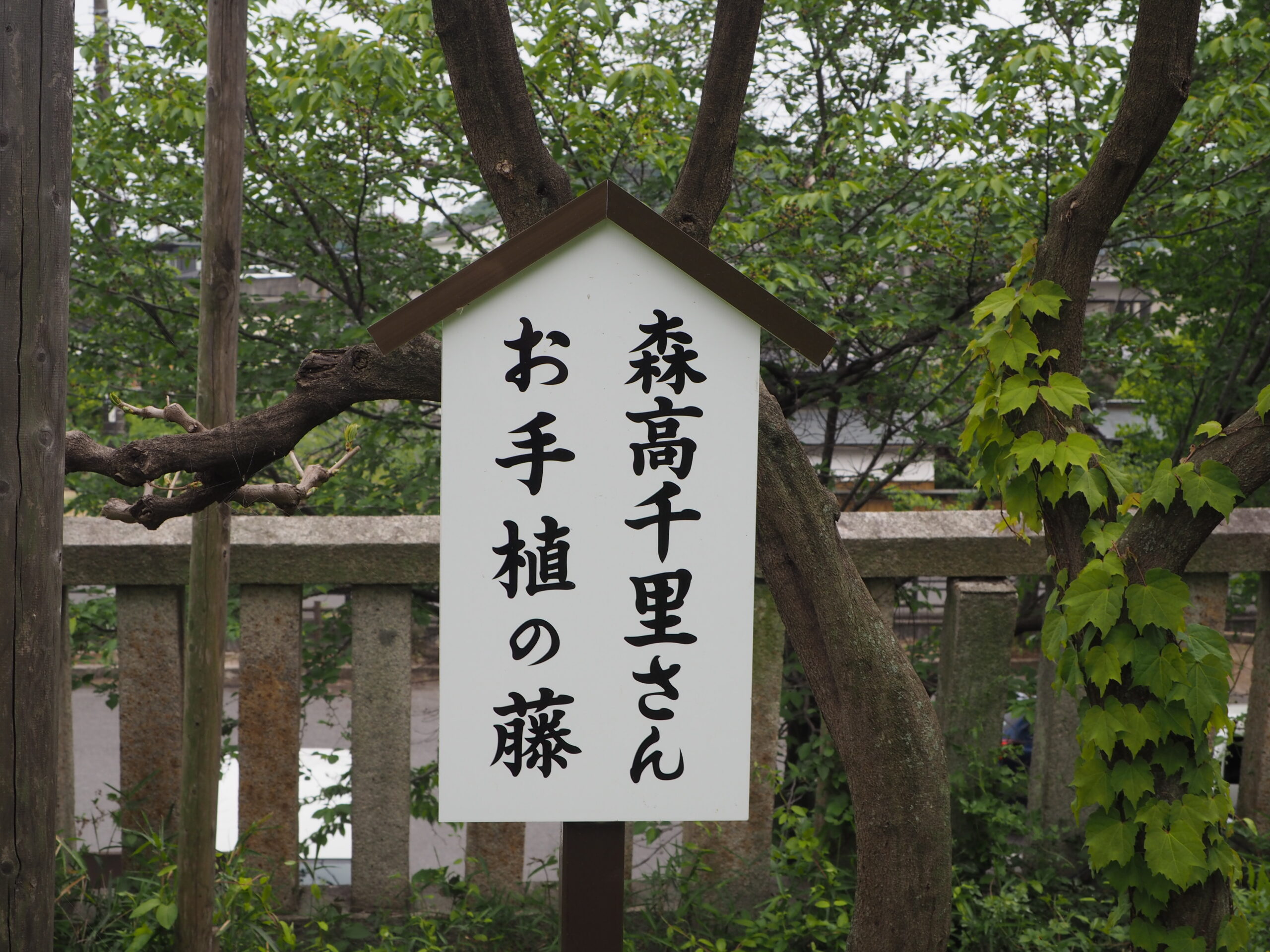 【中古】 教育のいのち/樹心社/出雲路暢良 87ee471d6c2ef6415c0034a045191d