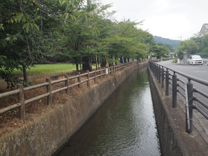 柳原用水(逆さ川)の写真です。