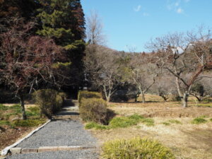 養源寺：駐車場脇の参道の写真です。