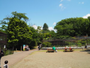 桐生が岡動物園の広場の写真です。