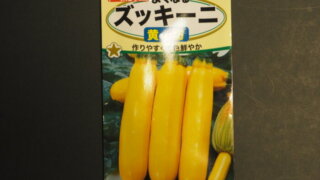 ズッキーニの種袋（黄坊）の写真です。