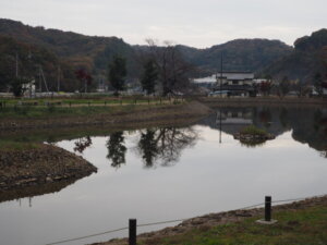 樺崎寺跡から見る浄土庭園の写真です。