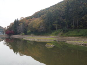 樺崎寺跡・浄土庭園の写真です。