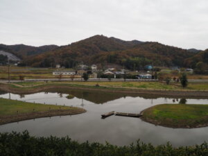 樺崎寺跡から見る浄土庭園の写真です。