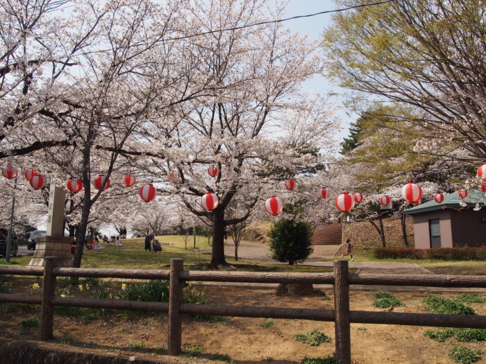 「足利公園」の写真です。