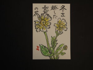 シュンギクの花の絵手紙の写真です。